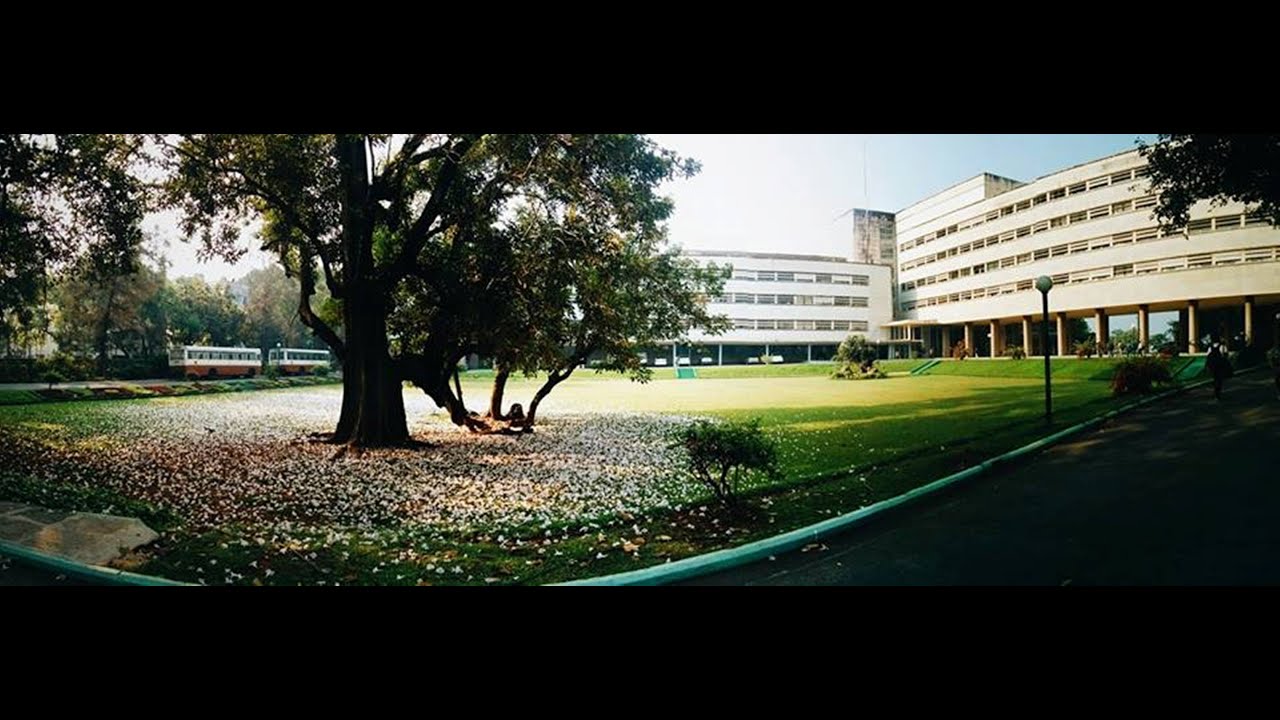 Excitons and Polarons in Organic Materials