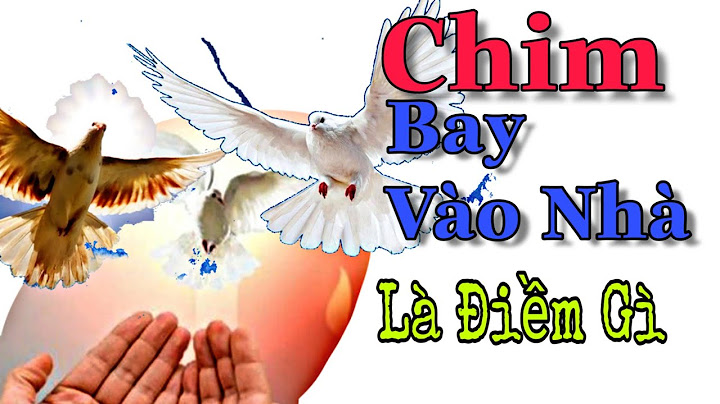 Chim bay vào nhà rồi bay ra là điềm gì năm 2024