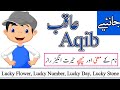 Aqib Name Meaning in urdu | Aqib Naam ka Matlab kya hota hai