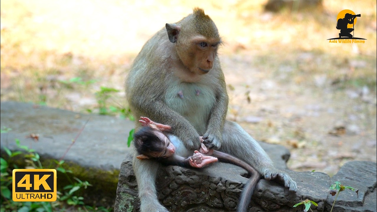 First Love, First Lesson: Amaya's Journey into Motherhood