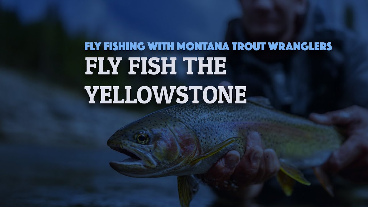 Fly Fish The Yellowstone