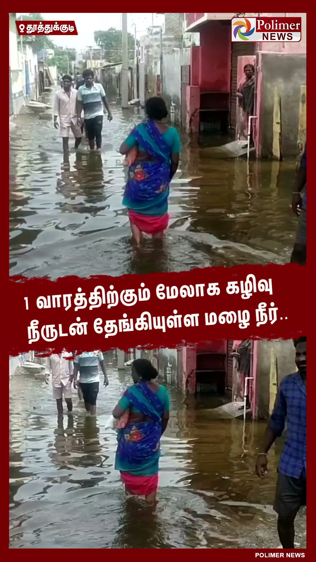 1 வாரத்திற்கும் மேலாக கழிவு நீருடன் தேங்கியுள்ள மழை நீர்..  #shorts