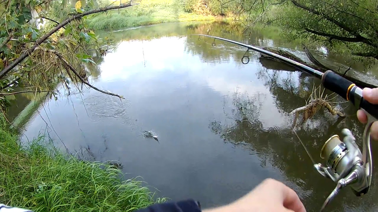 Ловля щуки на малых реках
