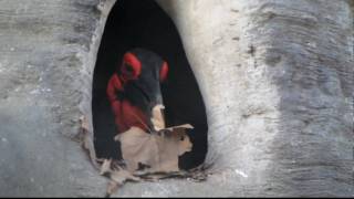 Spring Cleaning at the Barcelona Zoo