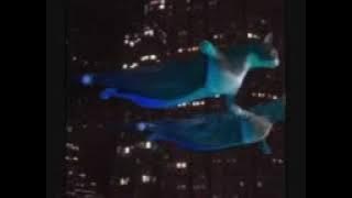 cats fly.3gp