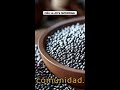 Las semillas de chía: ¿por qué son el superalimento esencial?