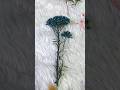 Dried Flowers #viral #trending #viralvideo #shortvideo #diy #youtubeshorts #trending #trendingshorts