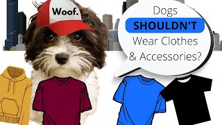 My Cavapoo Made a  PSA. Dogs SHOULD NEVER Wear Clothes.....#shorts #funnydogvideos by LifeofOakleytheCavapoo 9 views 1 year ago 13 seconds