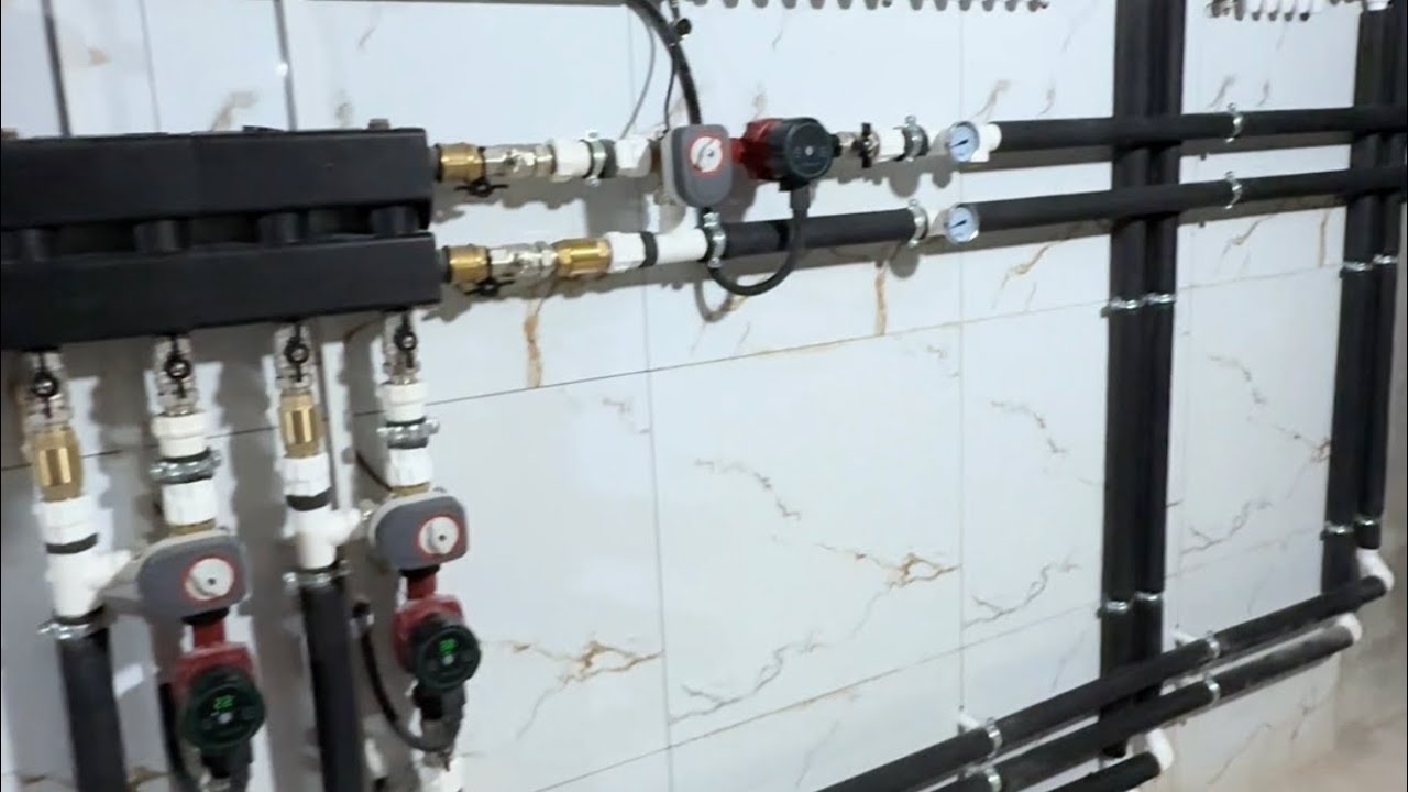 Zota kuba katyollarini narxlari qancha 