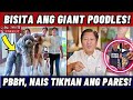 PBBM, Binisita ng Giant Poodles! Natakam sa Balut at Pares ni Diwata!?