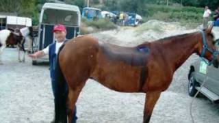 Raduno Equestre Mammola 2010