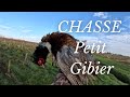 Chasse petit gibier faisentbecasselivre