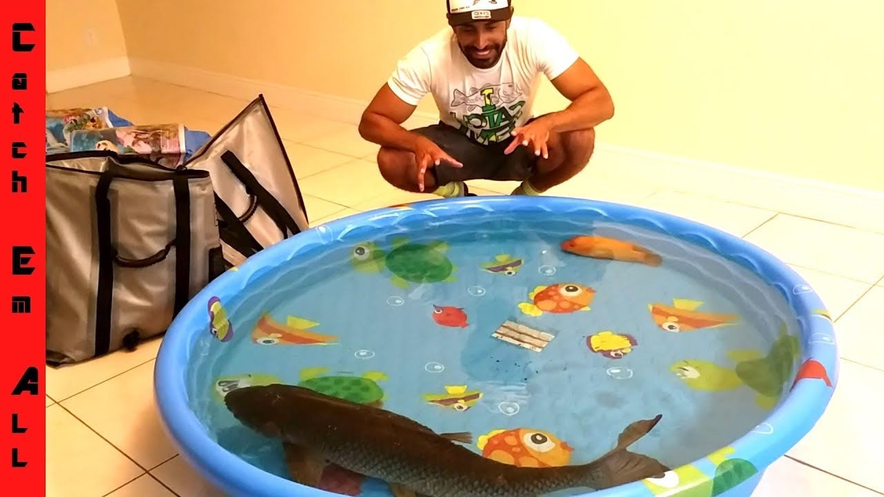 Fishing Pools