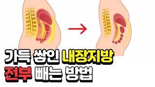 가득 쌓인 내장지방 뱃살 쉽게 빼는법 6가지