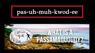 What is a Passamaquoddy? Five Historical facts about Maine Native American Tribe #wabanaki