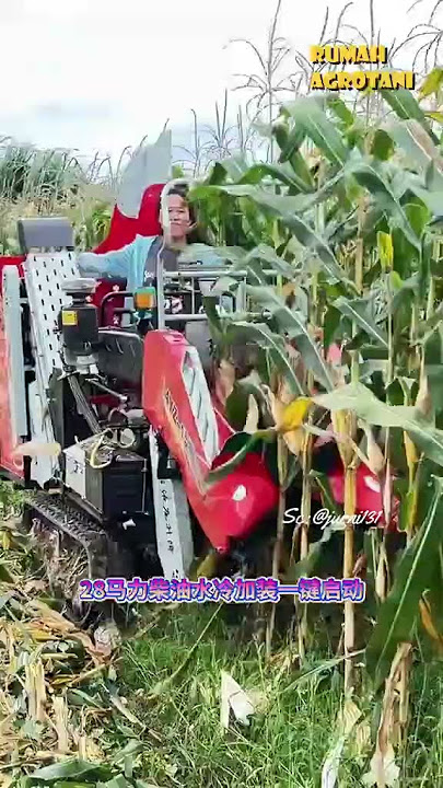 Mesin Panen Jagung Modern Sangat Membantu Petani