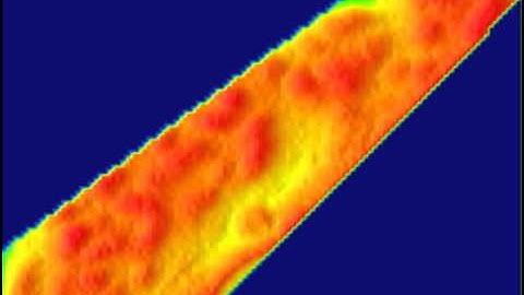 3D Phase Imaging Video of Zebrafish Blood Flow (Flat View)