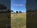 We Begin Again #entirelybonkers #ghostlyadventures #dailyaffirmation #cemetery #grave