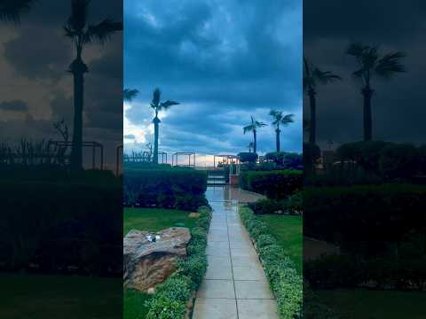 مش من مصر انا من اسكندريه