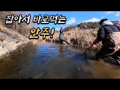 시골포차