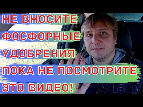 Фосфорные удобрения. Как правильно вносить в почву фосфорные минеральные удобрения.