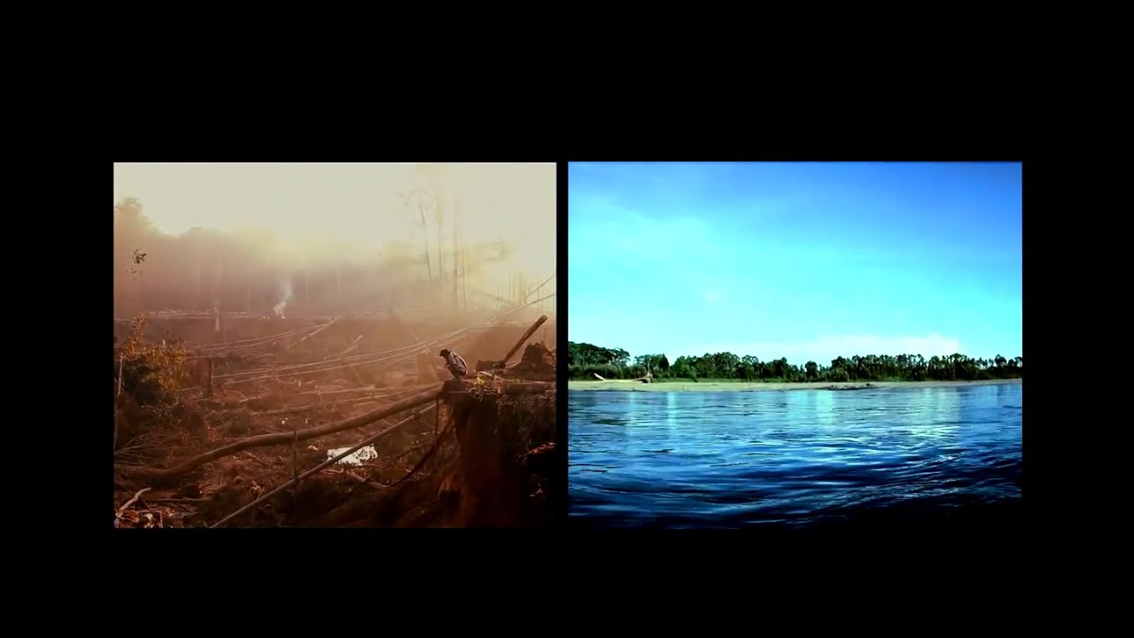 Beauty and Destruction