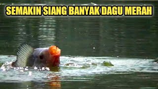 THE LATER THE MORE EXCITING IT IS || Fishing for Tilapia in Gondang Reservoir, Lamongan