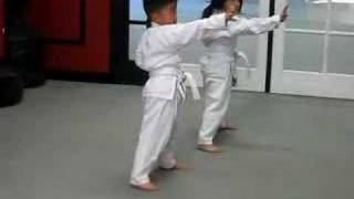 Brandon & Charismas Last Karate Practice