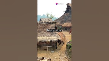 The Tribe With No Word for Time #Pirahã #Time #Now #AmazonJungle #CulturalInsights #Mindfulness