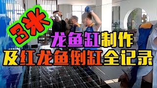 【亮哥养鱼】3米龙鱼缸制作及红龙鱼倒缸全记录