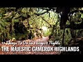 The Majestic Cameron Highlands, Malaysia | 12 Things To Do In 3 Days 2 Nights