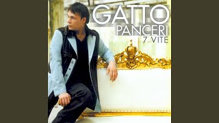 Video thumbnail of "Gatto Panceri - Il rumore delle ali delle farfalle"