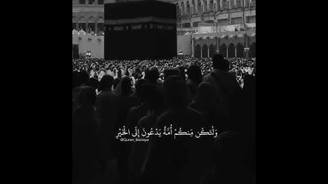 تلاوه قصيره عبد الرحمن المالكي