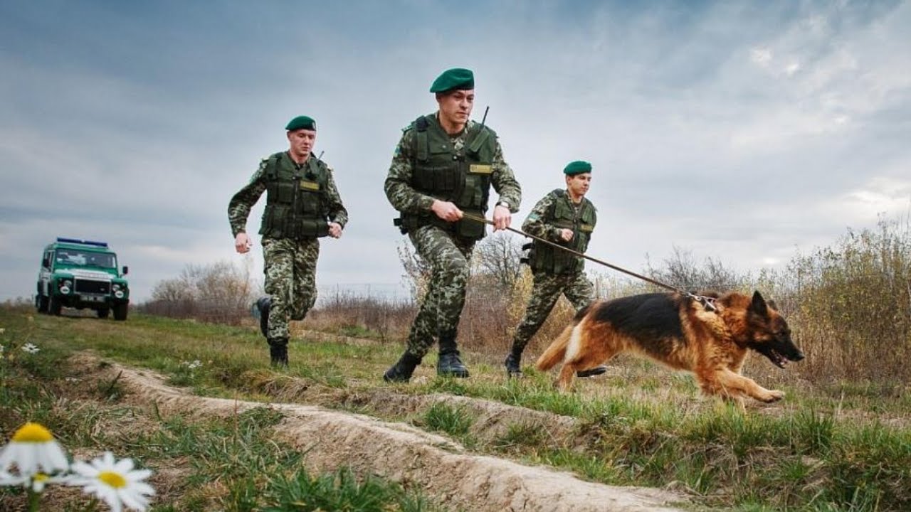 Пограничник пробуждение. Российские пограничники. Военный пограничник. Пограничные войска на границе.