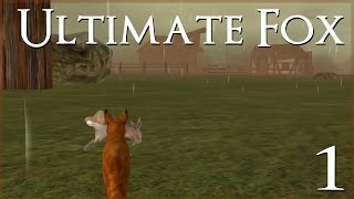 A New Fox in the Forest • Ultimate Fox Simulator  Episode #1