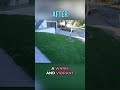 🌳✨Front Yard Facelift: Witness the Stunning Before &amp; After 🌳✨