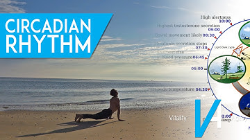 How Circadian Rhythm Affects Your Performance And Recovery
