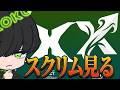 めっちゃカメレオンする