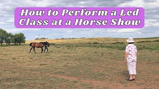 Information How to Perform a Led Class at a Horse Show | How to Show a Horse Guide