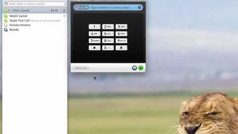 Skype Tutorial