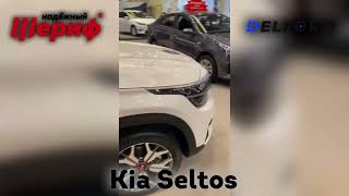 Киа Селтос / Kia Seltos ковры в салон Эва эффект