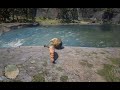 You won’t believe what this tiger did to save an NPC...
