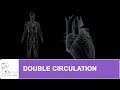 Understanding Double Circulation