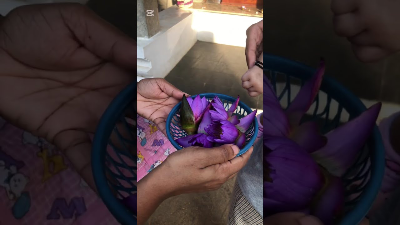 බබා එක්ක ගිය පලවෙනි ගමන ( කැලණි පන්සල් )🙏♥️