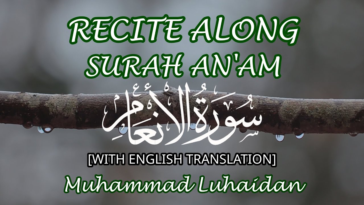 Full Recitation: Surah An'Am سورة الأنعام [English Translation] Muhammad Luhaidan #surah #قران_كريم
