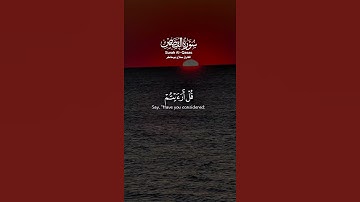 القارئ صلاح بوخاطر (سورة القصص) #quran #اكسبلور