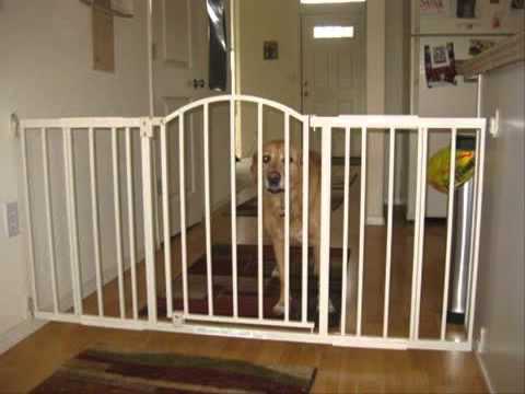 pet gate extra tall