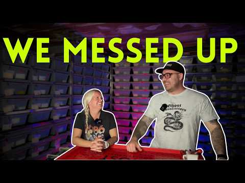 The Biggest Mistakes We Made Our First Year Breeding Ball Pythons Ep16