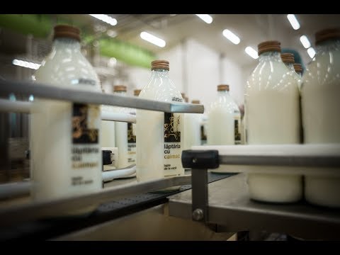 Video: Care este cel mai mare produs lactat din Statele Unite?