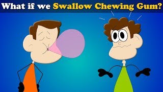 What if we Swallow Chewing Gum? + more videos | #aumsum #kids #science #education #children